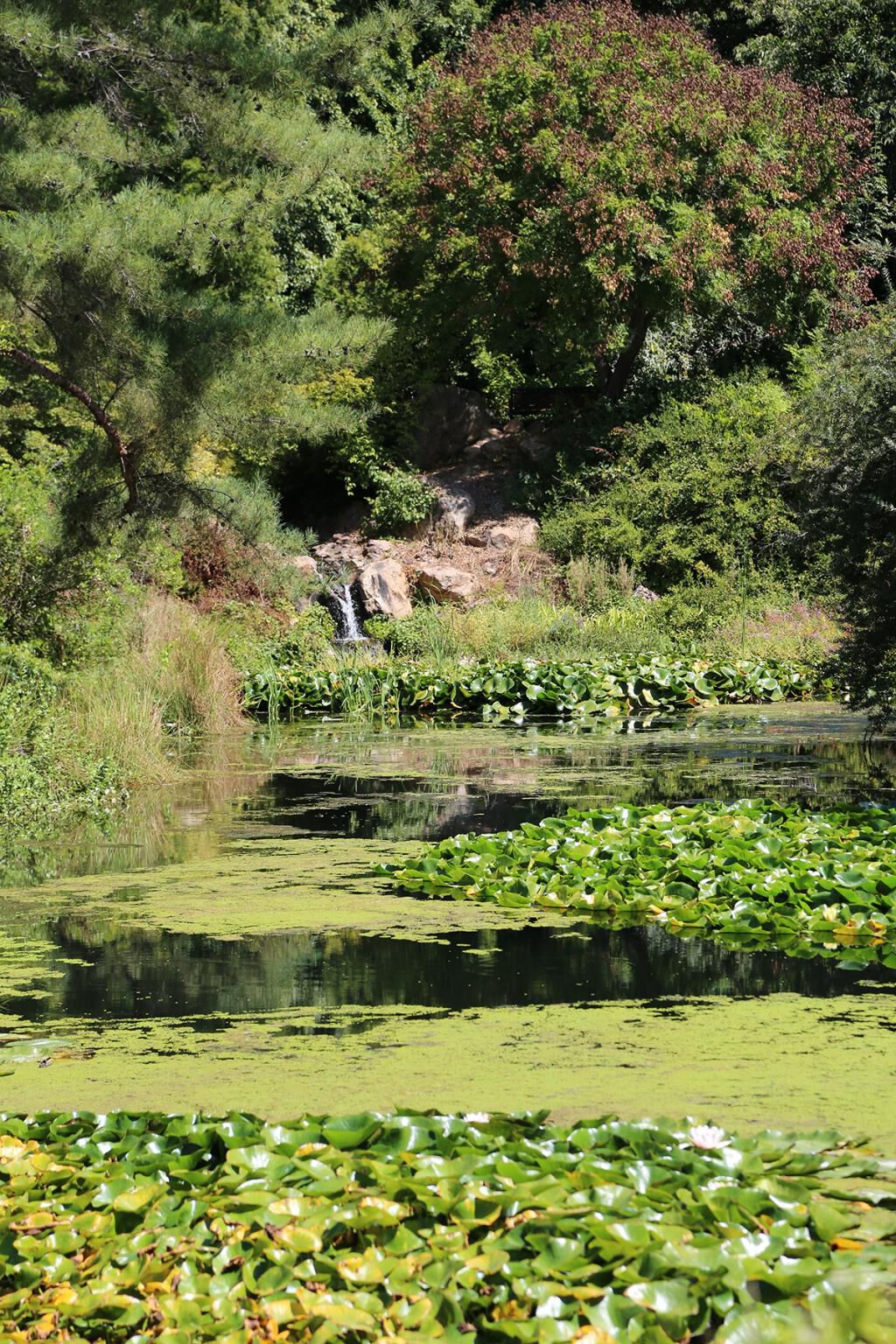 Quarryhill Botanical Garden