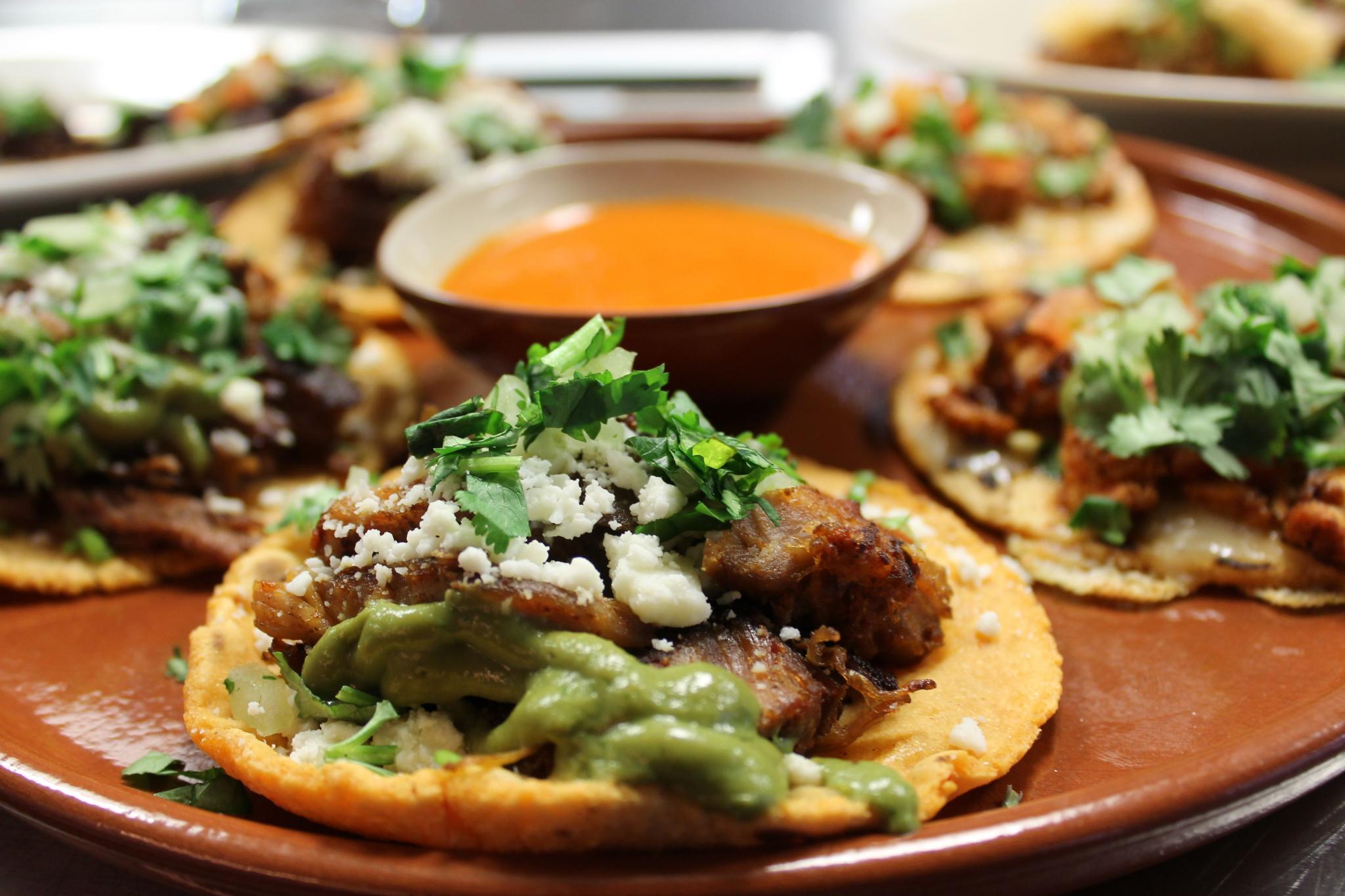 Plated mini tacos with guacamole, cilantro, roasted pork, and queso fresco. 