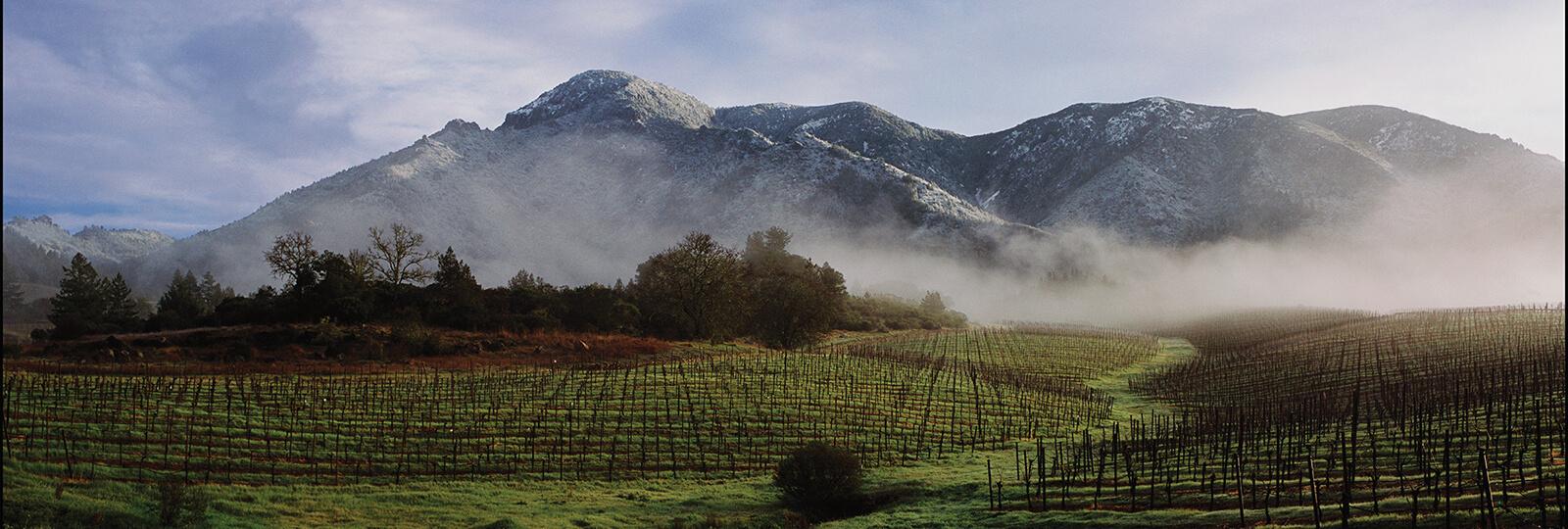 View of Knights Valley in Sonoma County, California.